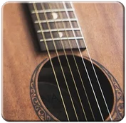 Patch Dream Guitar 1 Gitarre für LIMEX Soundplatinen